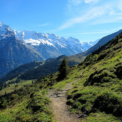 Weg am Berg
